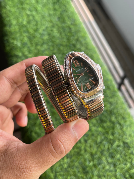 RC Bvl_Gari snake edition