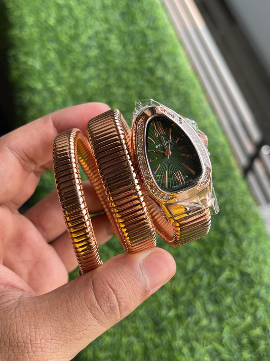 RC Bvl_Gari snake edition