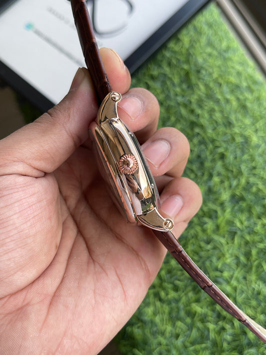 RC Patek Skeleton Automatic Leather Watch