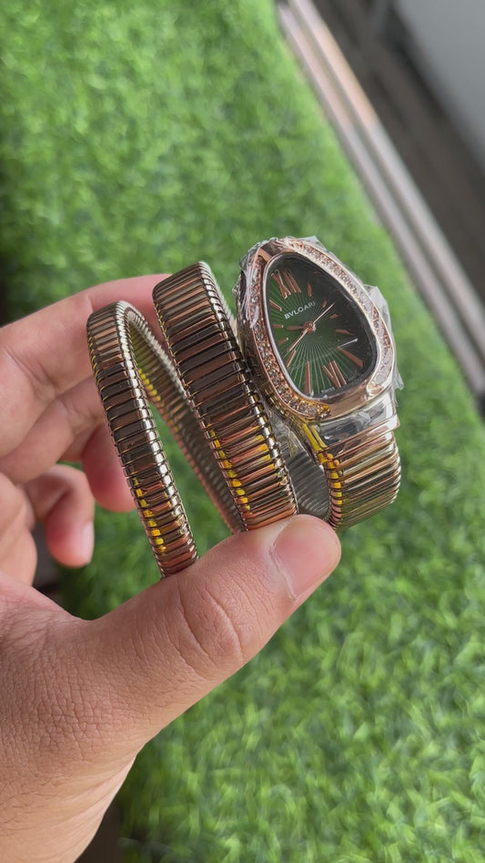RC Bvl_Gari snake edition