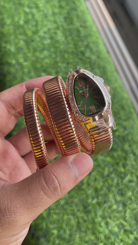 RC Bvl_Gari snake edition
